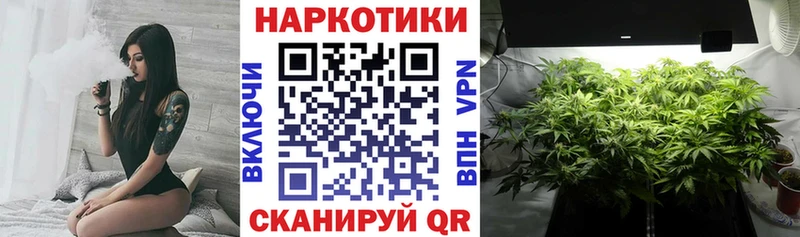 Что такое Пудож Канабис 