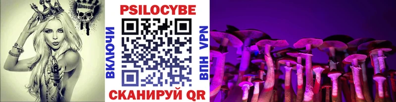 Галлюциногенные грибы прущие грибы  закладки  Пудож 