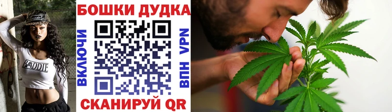 Бошки Шишки гибрид мега ТОР Пудож